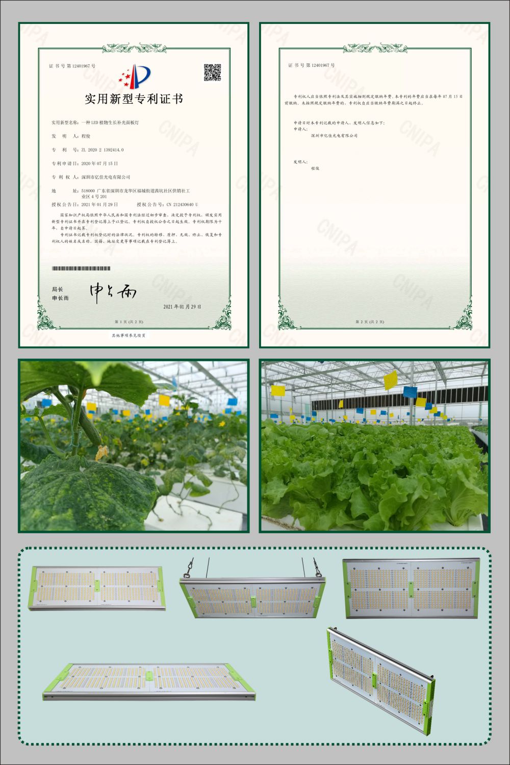 沙巴电竞植物生长面板灯实用新型专利